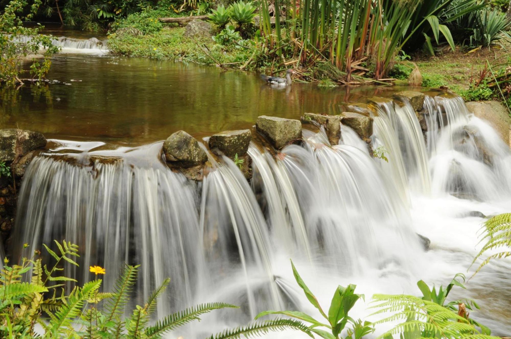 Pousada Sitio E Poesia Teresópolis Eksteriør bilde